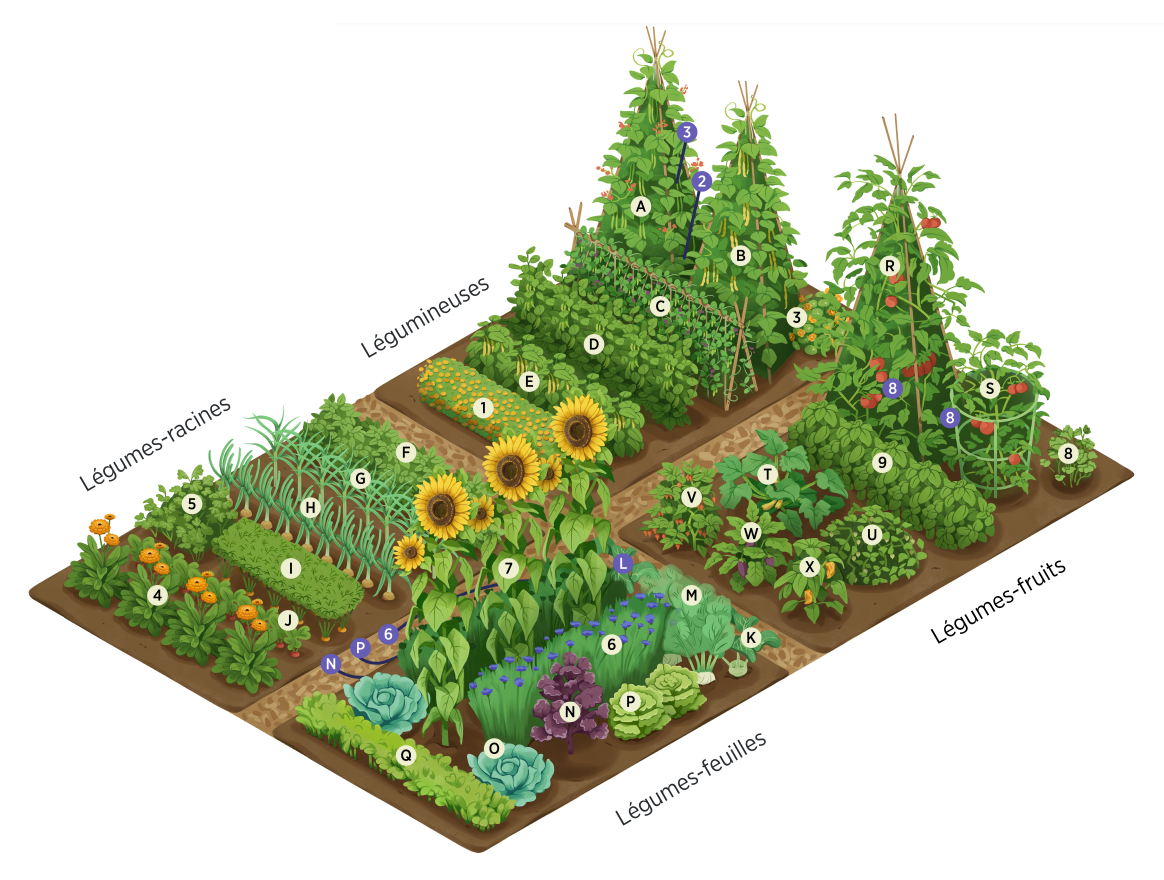 School Garden Project Logo